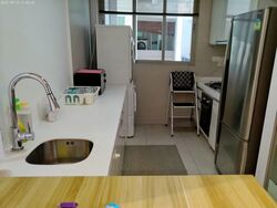 The Rochester Residences (D5), Apartment #585567291